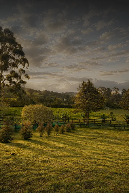 El territorio