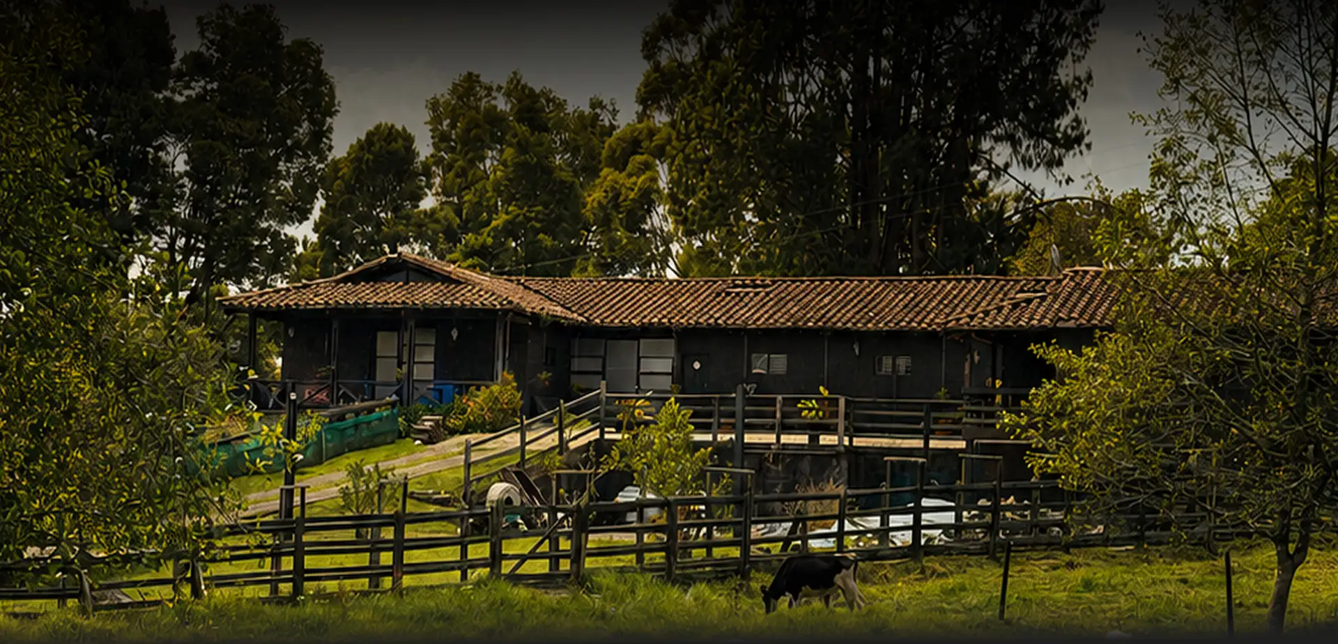 Finca GANAN, Alto de las Palmas